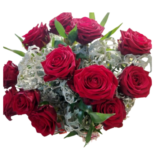 rose rosse Rose rosse