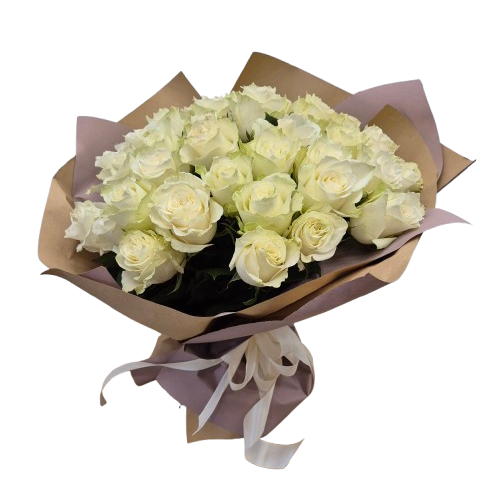 Rose bianche