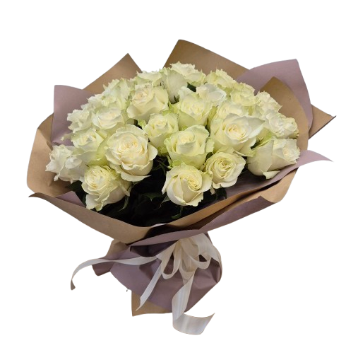Rose bianche