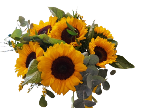girasoli Bouquet girasoli